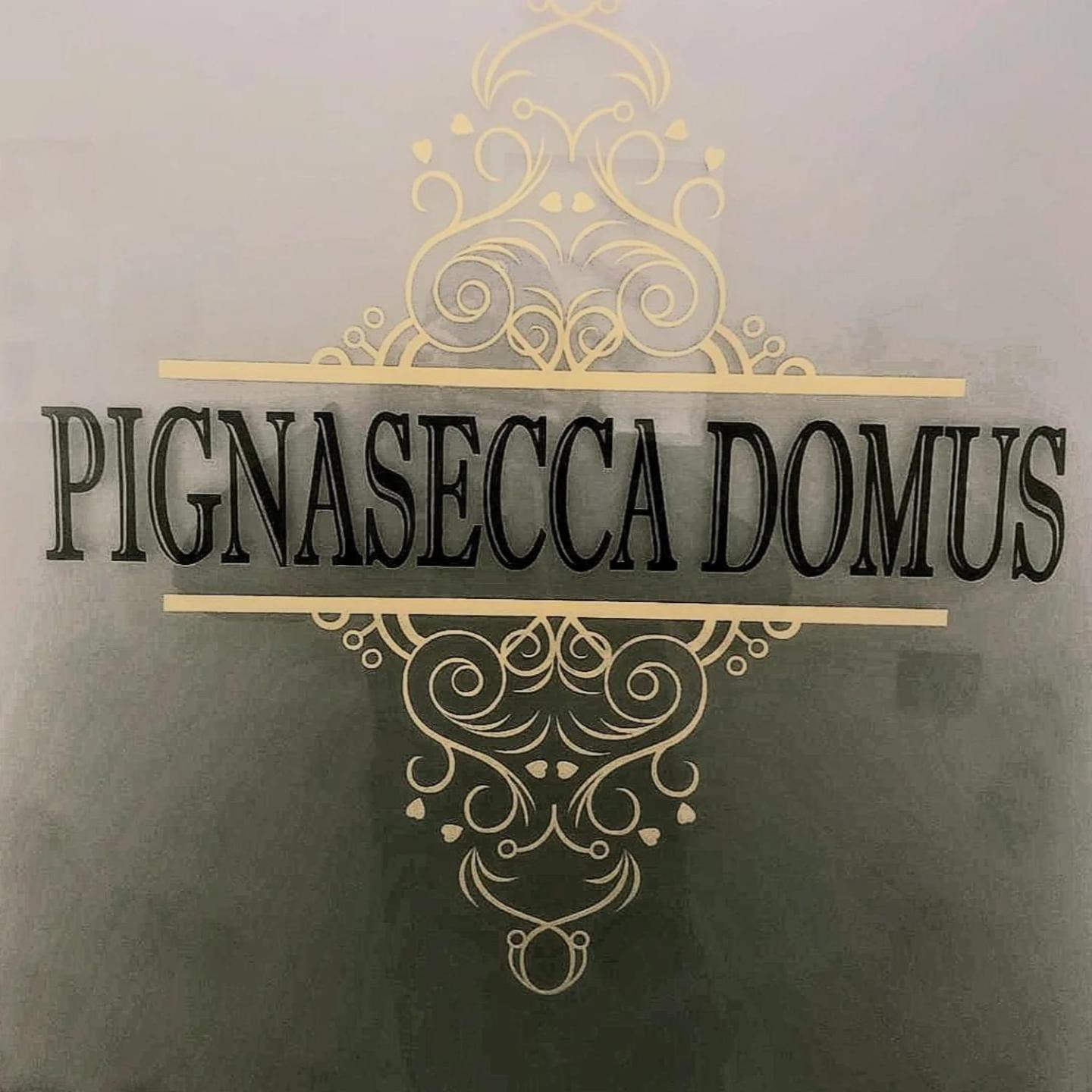 Pignasecca Domus Ξενοδοχείο Νάπολη Εξωτερικό φωτογραφία